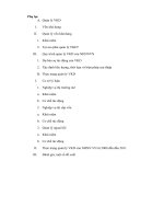 Đề tài  QUẢN lý vốn KHẢ DỤNG của VIỆT NAM