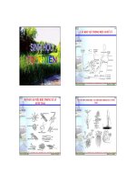 Bài giảng xử lý nước thải  chương 8 