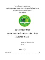 Tính toán hệ thống sấy tầng sôi đậu xanh