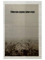 Ebook môi trường trung quốc  phần 2   lưu quân hội, vương giai