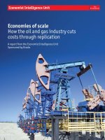 Economies of scale how the oil and gas industry cuts costs through replication 