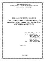 Tiểu luận thị trường tài chính  công ty chứng khoán và hoạt động của công ty chứng khóan trên thị trường chứng khoán việ