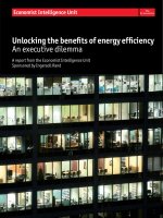 Unlocking the benefits of energy efficiency  an executive dilemma 