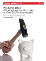 Preemptive action mitigating project portfolio risk in the financial services industry 