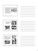 Bài giảng hóa sinh thực phẩm (ths  phạm hồng hiếu)   chương 8  nước