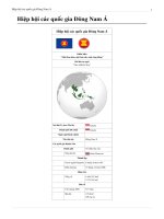 Hiệp hội các quốc gia đông nam á