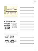 Bài giảng sinh lý người và động vật  sự phát triển phôi và tổ chức cơ thể 