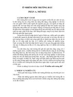 Ô nhiễm môi trường đất