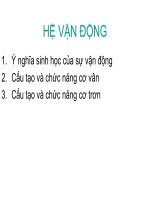 BÀI GIẢNG  hệ vận ĐỘNG