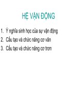 BÀI GIẢNG  hệ vận ĐỘNG