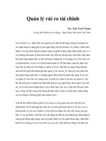 Quản lý rủi ro tài chính