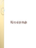 Bài giảng  rủi ro và lợi nhuận   2012