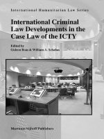 International criminal law developments in the case law of the ICTY
