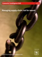 Managing supply chain risk for reward how businesses are responding to supply chain risk 