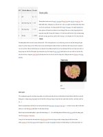 STT chi tiêu kiểm tra yêu cầu thành phần 1 ph 6,5   7,5 thành phần chính của bia 