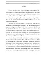 Tiểu luận  vai trò của hoạt động tuyên truyền trong quản lý nhà nước và tài nguyên môi trường