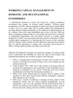 WORKING CAPITAL MANAGEMENT IN DOMESTIC AND MULTINATIONAL ENTERPRISES