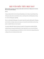 BÀI văn mẫu TIỂU học HAY   em hãy tả cây bàng ở sân trường em (hoặc một nơi nào đó mà em có dịp quan sát) với sự thay đổi của nó ở các mùa trong năm 