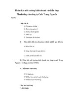 Phân tích môi trường kinh doanh và chiến lược marketing của công ty cafe trung nguyên