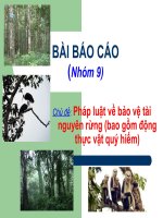 Chủ đề  pháp luật về bảo vệ tài nguyên rừng (bao gồm động thực vật quý hiếm)