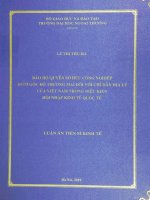 Luận văn  bảo hộ quyền sở hữu công nghiệp dưới góc độ thương mại đối với chỉ dẫn địa lý của việt nam trong điều kiện hội