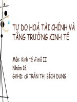 Mối quan hệ giữa tự do hoá tài chính và tăng trưởng kinh tế 