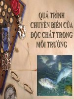 Bài giảng độc tố học môi trường  bài 8   ths trần thị mai phương