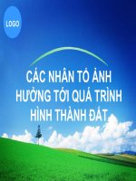 Báo cáo  các nhân tố ảnh hưởng tới quá trình hình thành đất