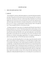 Phân tích chiến lược công ty may 10