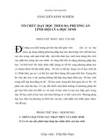 skkn SKKN tổ CHỨC dạy học THEO BA PHƯƠNG án LĨNH hội của học SINH 