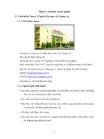 HOẠCH ĐỊNH CHIẾN lược KINH DOANH CHO CÔNG TY cổ PHẦN dầu THỰC vật TƯỜNG AN GIAI đoạn 2013