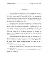 Tổ chức công tác kế toán vật liệu và phân tích tình hình quản lý, sử dụng vật liệu ở XNDPTWI