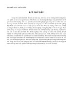 Hoat động kiểm toán nội bộ Việt Nam