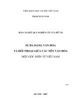 Sự đa dạng văn hoá và đối thoại giữa các nền văn hoá   một góc nhìn từ việt nam