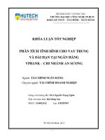Phân tích tình hình cho vay trung và dài hạn tại ngân hàng VP bank chi nhánh an sương 