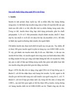 Sản xuất thuốc bằng công nghệ DNA tái tổ hợp 