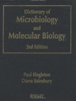 dictionary of microbiology and molecular biology,