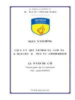 Các yếu tố quyết định đến lựa chọn sử dụng dịch vụ đường sắt của hành khách 