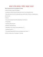 BÀI văn mẫu TIỂU học HAY   lập dàn bài chi tiết tả cây phượng ở sân trường 