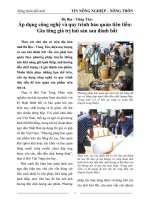 Áp dụng công nghệ và quy trình bảo quản tiên tiến gia tăng giá trị hải sản sau đánh bắt