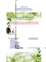 Chuyển dịch cơ cấu ngành kinh tế trong quá trình phát triển kinh tế ở việt nam