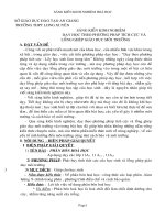 Dạy học theo phương pháp tích cực và lồng ghép giáo dục môi trường vào bài giảng 