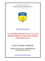 Các giải pháp thu hút đầu tư của các doanh nghiệp vào khu công nghiệp tình tiền giang 