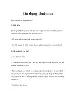 Tín dụng thuê mua 