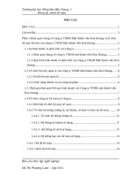 Báo cáo kế toán thuế tại công ty TNHH MTV Kim Hoàng