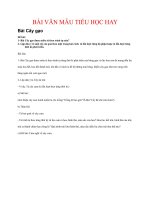 BÀI văn mẫu TIỂU học HAY   bài cây gạo 