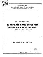 Các chợ đầu mối và trung tâm thương mại ở thành phố hồ chí minh
