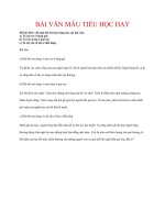 BÀI văn mẫu TIỂU học HAY   viết một kết bài mở rộng tả cây tre, cây tràm, cây đa cổ thụ 