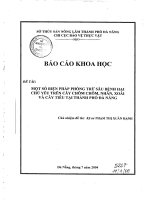 Một số biện pháp phòng trừ sâu bệnh hại chủ yếu trên cây nhãn, cây chôm chôm, cây xoài và cây tiêu tại TP  đà nẵng