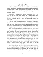 Giải pháp nâng cao hiệu quả dụng vốn trong công ty TNHH phúc hà 